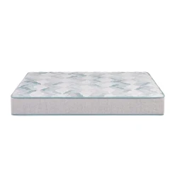 Discount American Furniture Galleries Beauty Sleep Dream Weaver Firm 11.5" King Firm 11.5" Mattress