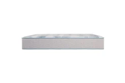 Fashion American Furniture Galleries Beauty Sleep Dream Weaver PL TT King Plush Tight Top Mattress