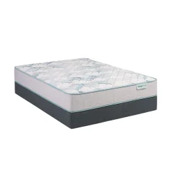 Discount American Furniture Galleries Beauty Sleep Dream Weaver Firm 11.5" King Firm 11.5" Mattress