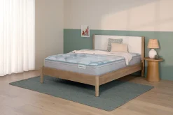 New American Furniture Galleries Beauty Sleep Dream Weaver MD ET King Medium Euro Top Mattress