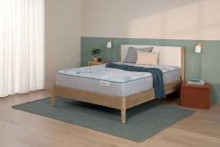 Fashion American Furniture Galleries Beauty Sleep Dream Weaver PL TT King Plush Tight Top Mattress
