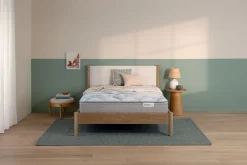 New American Furniture Galleries Beauty Sleep Dream Weaver MD ET King Medium Euro Top Mattress