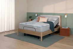 Fashion American Furniture Galleries Beauty Sleep Dream Weaver PL TT King Plush Tight Top Mattress
