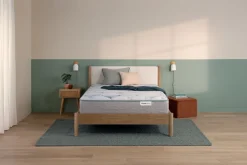 Fashion American Furniture Galleries Beauty Sleep Dream Weaver PL TT King Plush Tight Top Mattress