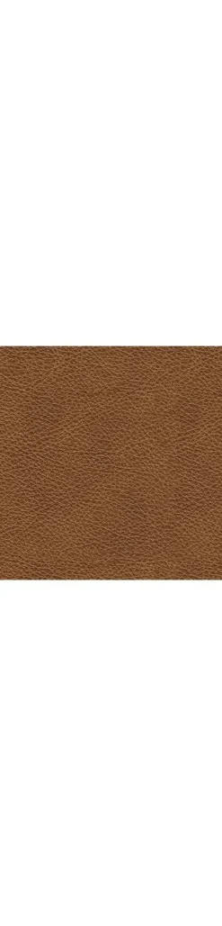 Best American Furniture Galleries Carianna Loveseat