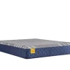 Fashion American Furniture Galleries Golden Elegance H6 Bridgerton Medium King Mattress