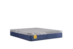 New American Furniture Galleries Golden Elegance H4 Featherton Firm King Mattress