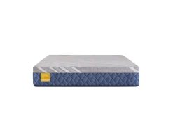 New American Furniture Galleries Golden Elegance H4 Featherton Firm King Mattress