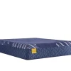 Discount American Furniture Galleries Golden Elegance H8 Remmington Soft King Mattress