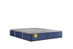 Online American Furniture Galleries Golden Elegance S6 Bridgerton  Firm TT Twin Mattress