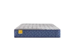 Clearance American Furniture Galleries Golden Elegance S6 Bridgerton  Firm TT King Mattress