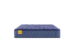 Discount American Furniture Galleries Golden Elegance S8 Remmington  Ultra Firm TT King Mattress