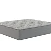 Online American Furniture Galleries Sanctuary Firm King Firm Mattress
