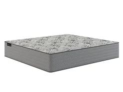 Online American Furniture Galleries Sanctuary Firm King Firm Mattress