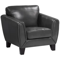Online American Furniture Galleries Spivey Accent Chair